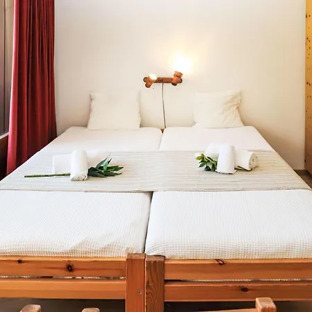 Rosablanche C22 By Interhome Siviez